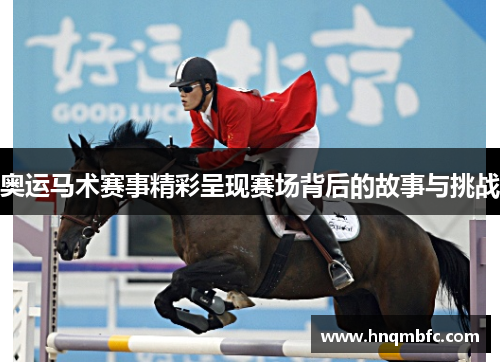 奥运马术赛事精彩呈现赛场背后的故事与挑战 奥运马术赛事精彩呈现赛场背后的故事与挑战
